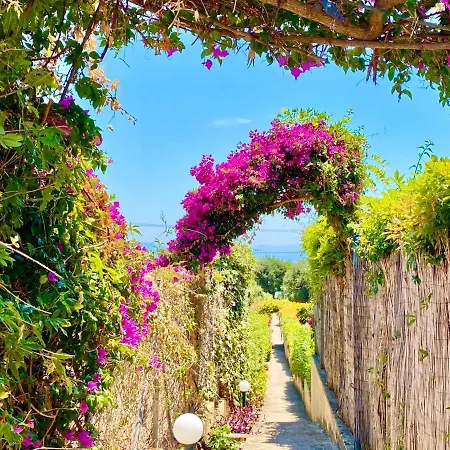 Pelagos With Private Pool By Dadovillas Barbati